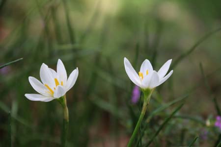 1678860487805002292.jpg y1.jpg